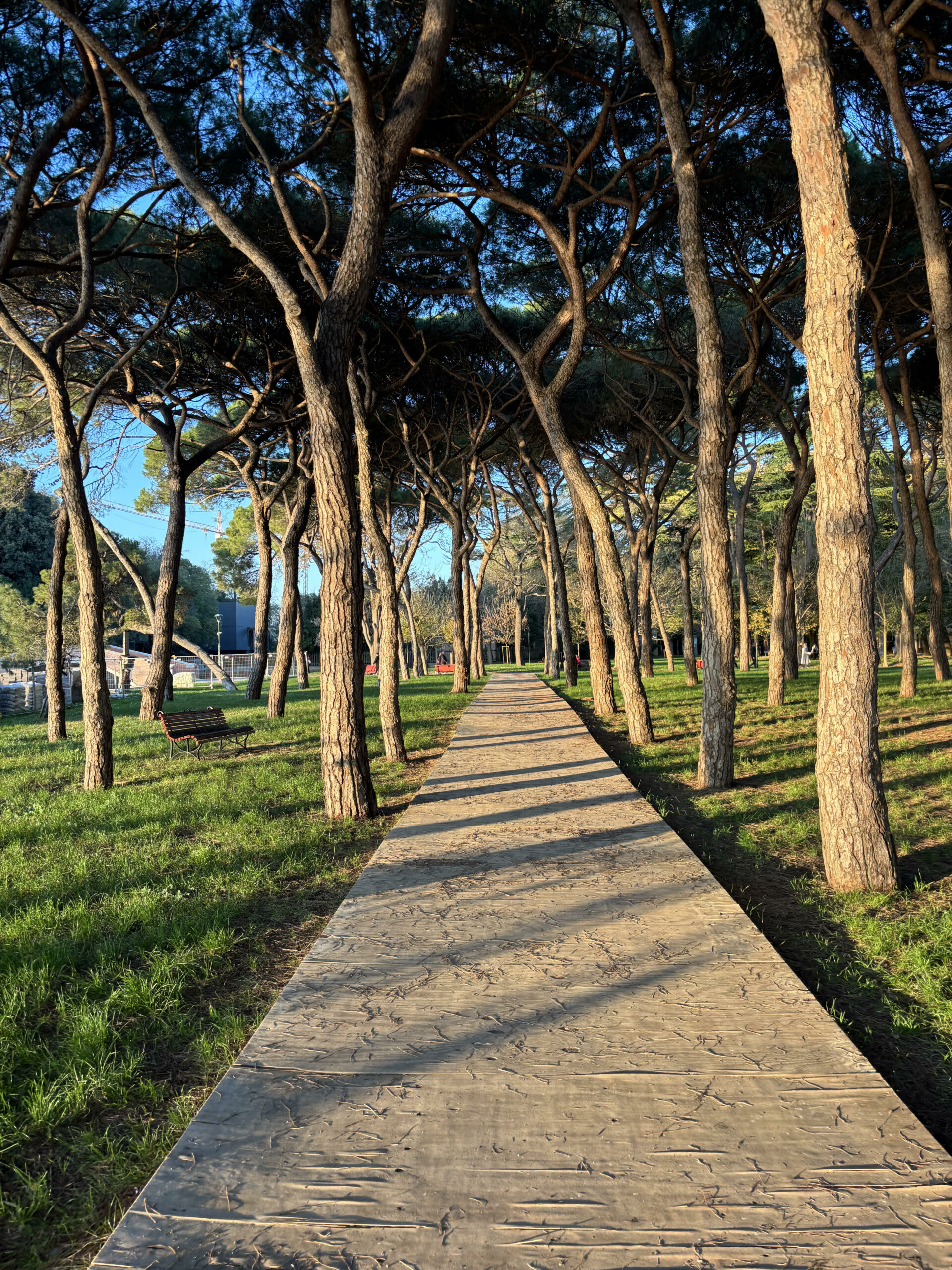 M+7.3 // SURROGATES !